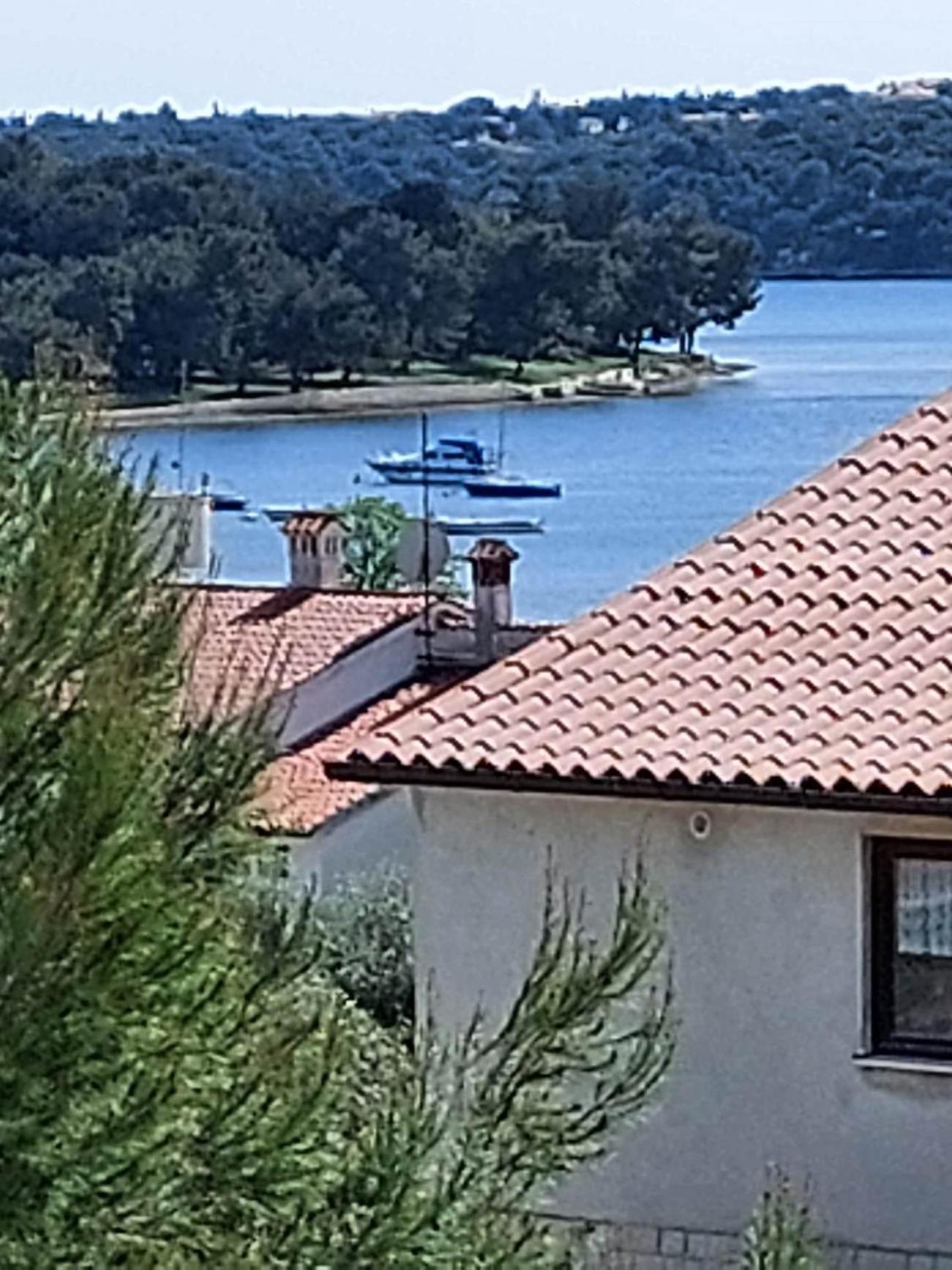 Apartmani Tara Μεντουλίν Εξωτερικό φωτογραφία
