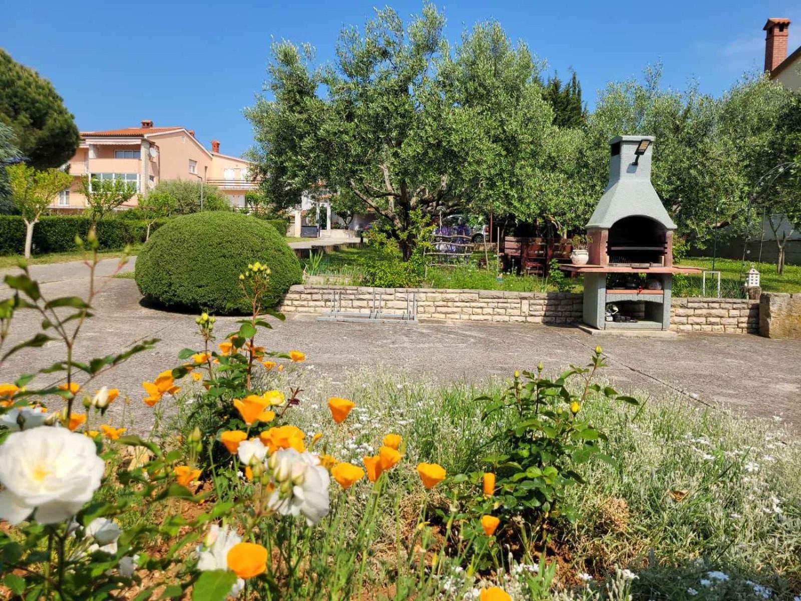 Apartmani Tara Μεντουλίν Εξωτερικό φωτογραφία